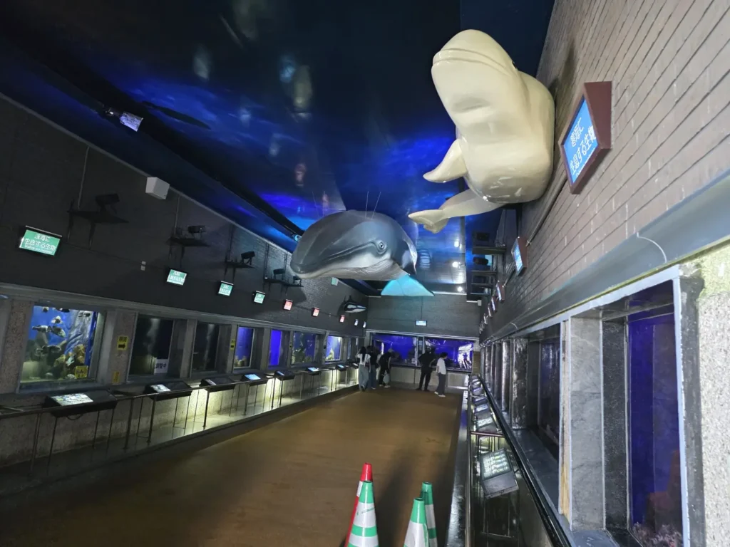 昔ながらの水槽が通路の両側に並ぶ室蘭水族館の館内