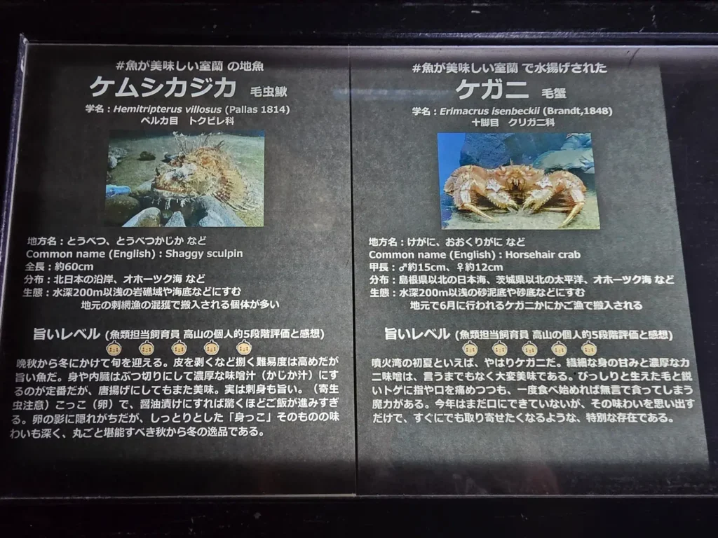 ケムシカジカとケガニのおいしさも紹介している室蘭水族館の説明板
